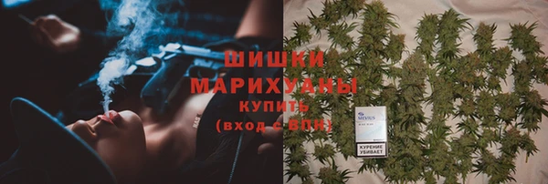прущие крисы Елабуга