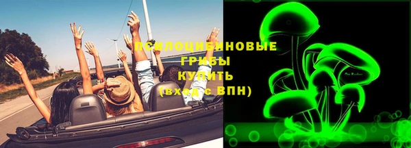 гидра Елизово