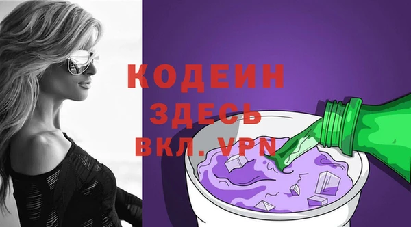 дурь Ельня