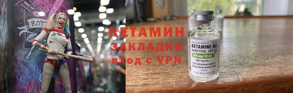 гидра Елизово