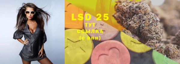 гидра Елизово