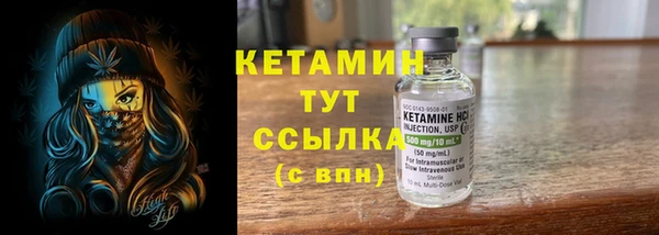 гидра Елизово