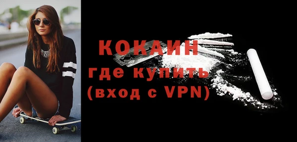 дурь Ельня