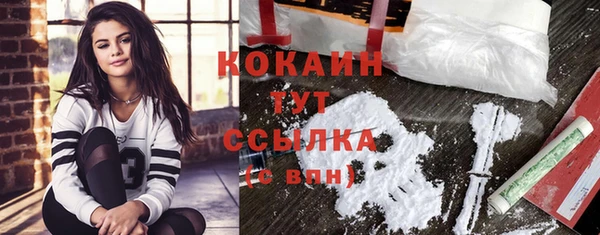дурь Ельня
