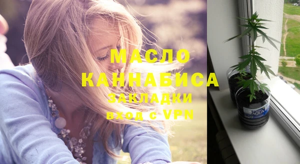 дурь Ельня