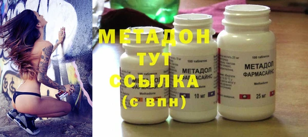 гидра Елизово