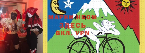 дурь Ельня