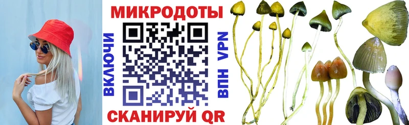 гидра зеркало  Инта  Галлюциногенные грибы Cubensis 